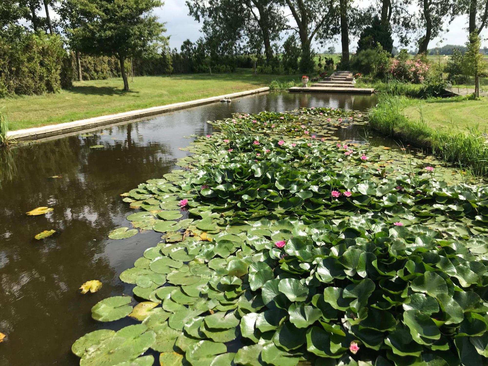 Appartement Landgoed Swaensborgh à Oudesluis  Extérieur photo